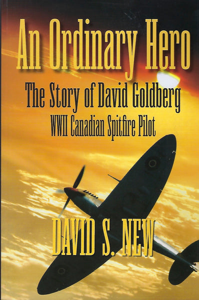An Ordinary Hero (by David S. New)