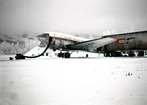 Lady on A Pedestal (by Gordon Bartsch)