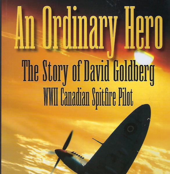 An Ordinary Hero (by David S. New)